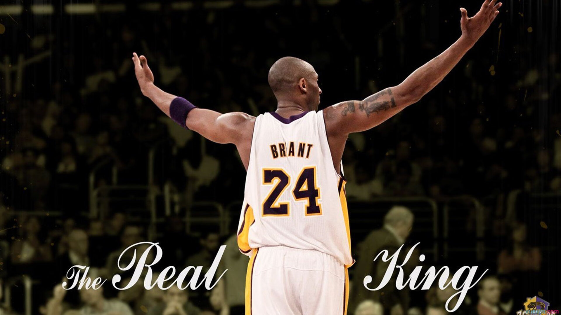 戈麦斯的枪与故乡的雪,一场跨越万里的篮球救赎